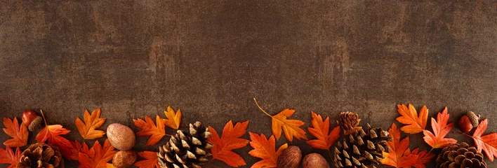 Deurstickers Colorful fall leaves, nuts and pine cones. Bottom border over a rustic dark banner background. Top view with copy space. © Jenifoto