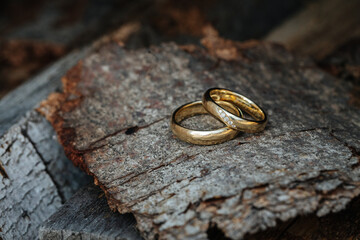 Wedding rings close up