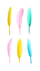 Set with different beautiful color feathers on white background