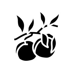 plant branch nectarine glyph icon vector. plant branch nectarine sign. isolated symbol illustration