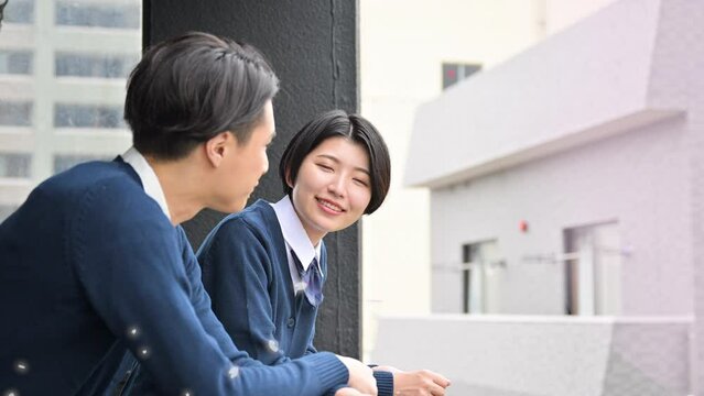 青春の1ページ　学生のカップルのイメージ　桜吹雪のなか話す