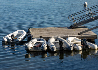 boats in the harbor