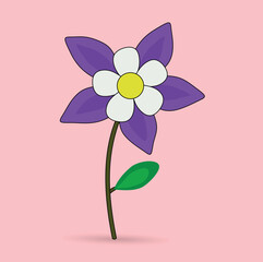 Purple flower Aquilegia columbine, of the inverted flower to five doves clustered together