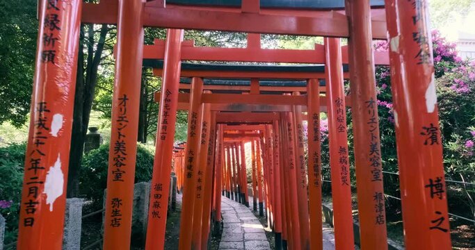 waling through a tunnel of vermilion torii gates in tokyo, japan