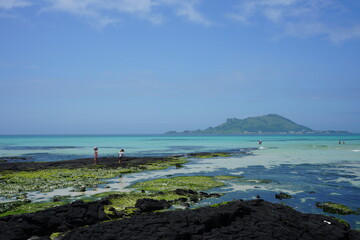 beautiful shoaling beach and people