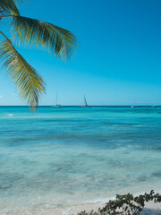 Fototapeta na wymiar Dominican Republic, a beautiful beach with white sand and azure ocean. palm tree on the shore