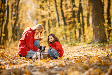 Mother and daughter playing in autumn forest with dogs