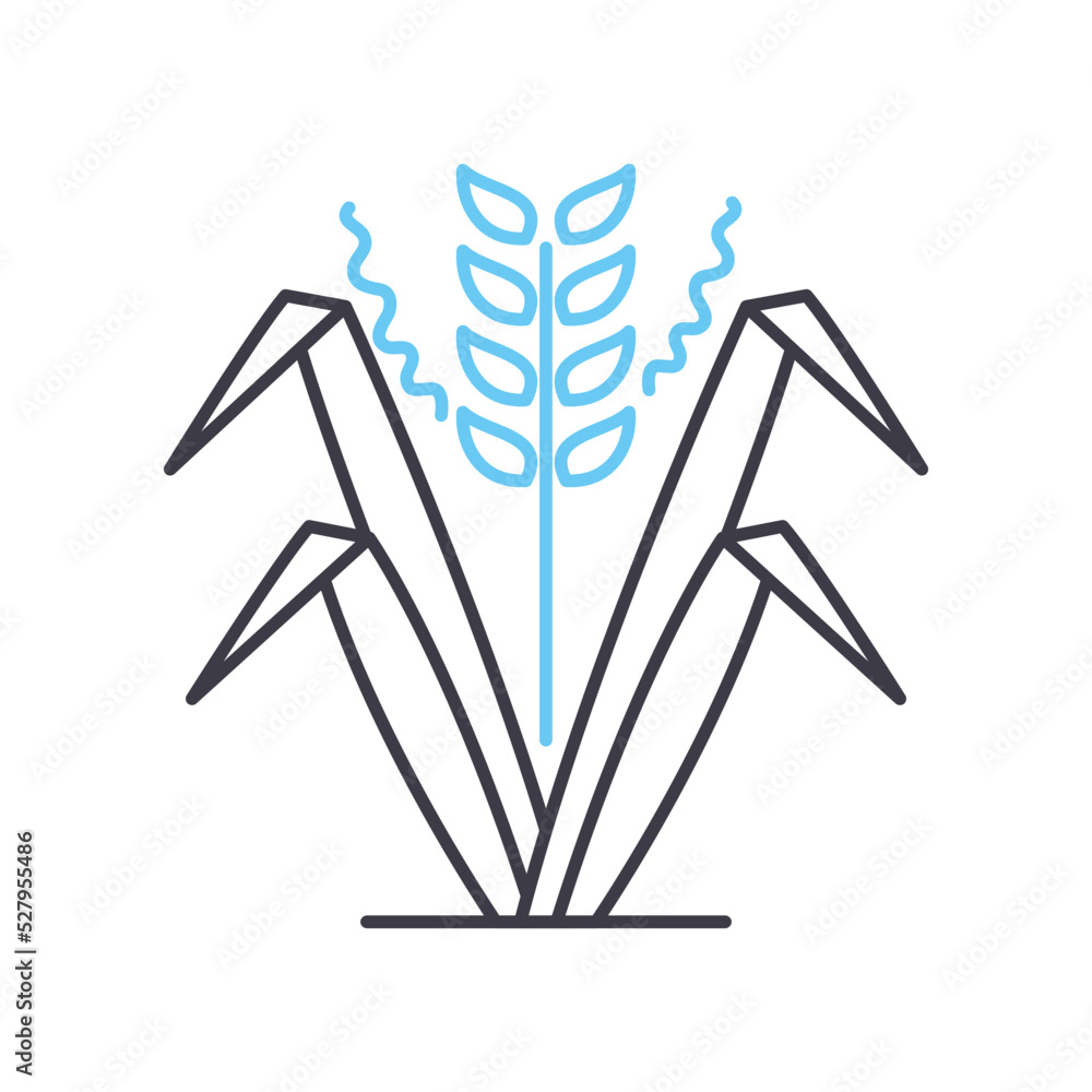 Wall mural rice food line icon, outline symbol, vector illustration, concept sign