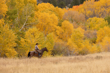 Fall in Wyoming