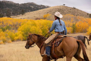 Cowgirl riding in Aspens and Cottonwoods