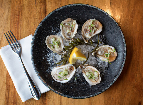 Oysters on the half shell at a restaurant