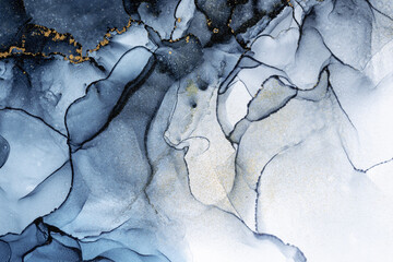 Marble ink abstract art from exquisite original painting for abstract background . Painting was painted on high quality paper texture to create smooth marble background pattern of ombre alcohol ink . © InfiniteFlow