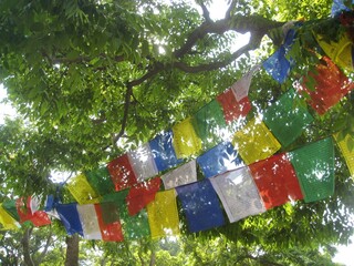 Colorful prayer flags hanging between trees