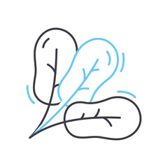 spinach line icon, outline symbol, vector illustration, concept sign
