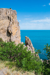  A lonely tree on a mountain.
