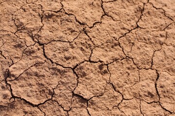 Cracked dirt, brown ground