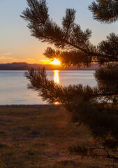 Baikal Lake in early morning. The sun rises over the Small Sea. Silhouette of pine tree branches against the background of the rising sun. Beautiful landscape. Natural background