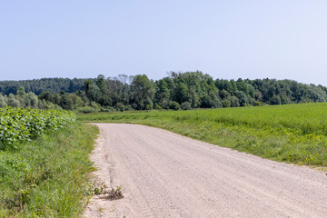 Fototapeta na wymiar Dirt road in the field
