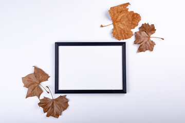 Composition of halloween decoration with leaves and frame with copy space on white background