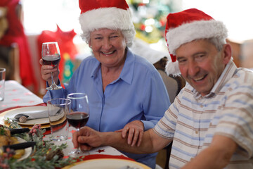 Senior caucasian couple sitting at table and drinking wine