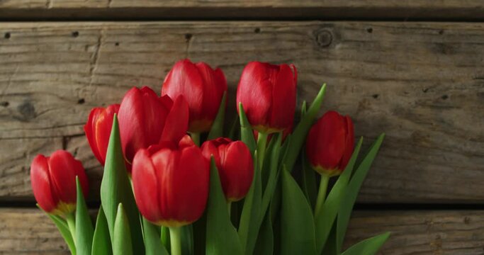Bouquet of red tulips on wooden background at valentine's day