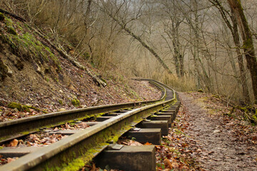 Abandoned railway through the autumn forest in Mezmay, Russia, horizontal image with copy space for text