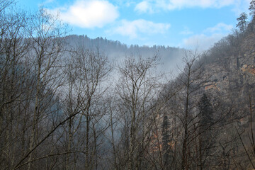 The fog surrounding dark forest in beautiful mountains in the early morning, Mezmay, Russia, Caucasus mountains, blue sky with copy space for text, wallpaper, background