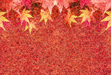 紅葉　もみじ　秋　背景