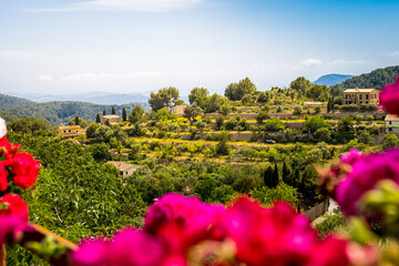 View through geraniums to the mediterranean sea with the islands Illes Malgrats at the horizon from...