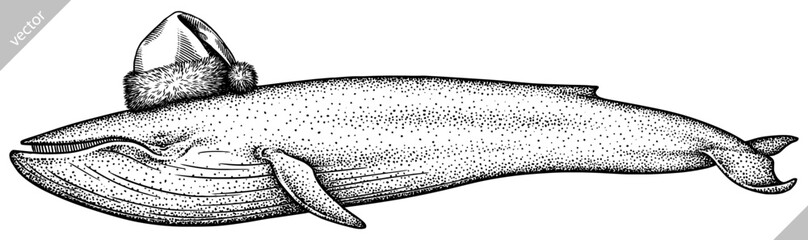Vintage engrave isolated blue whale set christmas illustration humpback ink santa costume sketch. Wild cachalot background line new year hat giant dolphin vector art