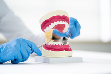 Teeth Care And Dentistry Model