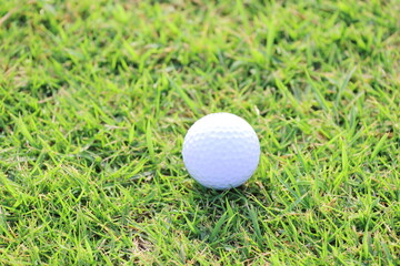 芝生上のゴルフボール