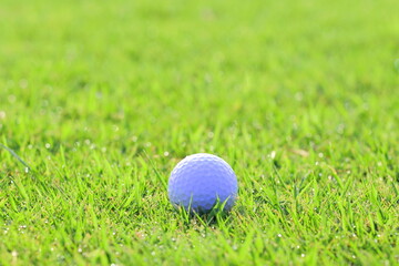 芝生上のゴルフボール