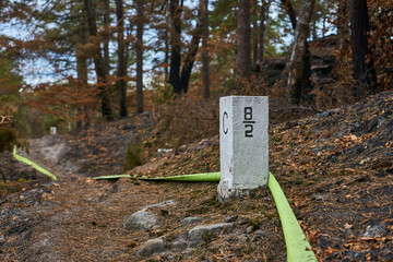 Bohemian National Park: Border marker with fire hose after large wildfires     