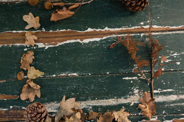 Overhead view of pine cones and leaves on table