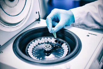 Technician experiment sample in sterilization equipment - obrazy, fototapety, plakaty