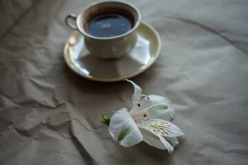 Obraz na płótnie Canvas cup of coffee and white flower on gray background