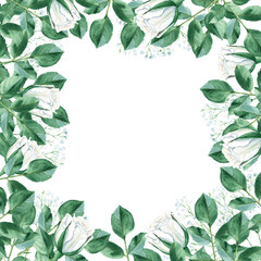 Watercolor square frame with white roses and gypsophila. Hand drawn botanical illustration isolated on white background. Can be used as invitation card for wedding, birthday, anniversary, greeting