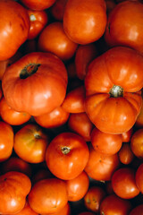 Tomatoes varieties colorful dark background. Top view.
