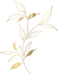 gold flower vector