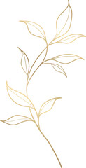 Fototapeta na wymiar gold flower vector