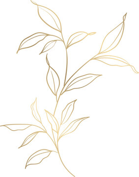 gold flower vector