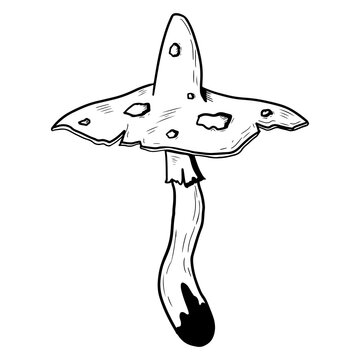 recommend clip art: Mushroom with a cap with poisonous dots. Vector illustration isolated on a white background. Hand-drawn style.