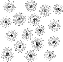 Fototapeta Chamomile hand drawn. Floral ornament with daisies is highly detailed in line art style. Black and white pictures on a white background. obraz