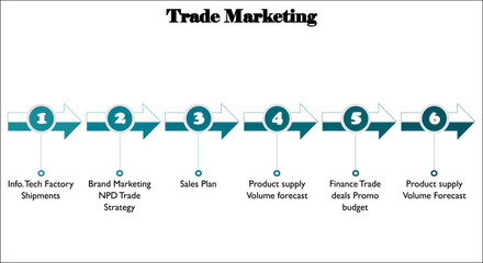 Six steps of Trade marketing in an Infographic template