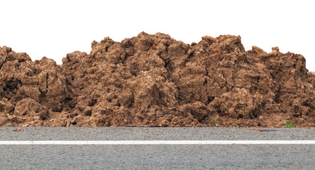 Isolate, close-up of a mound of dirt near the side of a paved road in rural Thailand.