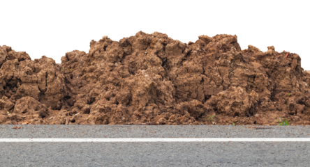 Isolate, close-up of a mound of dirt near the side of a paved road in rural Thailand.