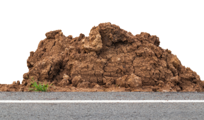 Isolate, close-up of a mound of dirt near the side of a paved road in rural Thailand.