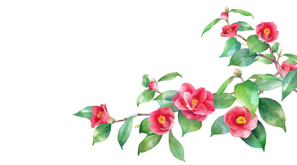 冬の花。赤い椿の水彩イラスト。右から伸びる枝。ヤブツバキのバナー背景。（透過背景） - obrazy, fototapety, plakaty