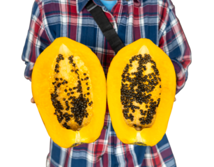 A close-up isolate of a large yellow papaya, halved into two with numerous black seeds inside, carried by the hand of an elderly woman wearing a red-blue checkered shirt.